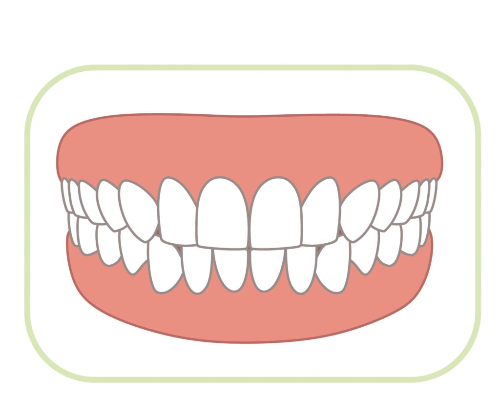 Normal Teeth 1024x819 1